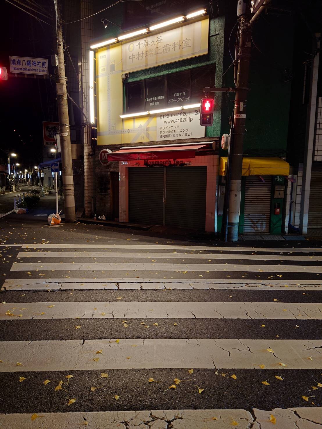 物悲しかった19年