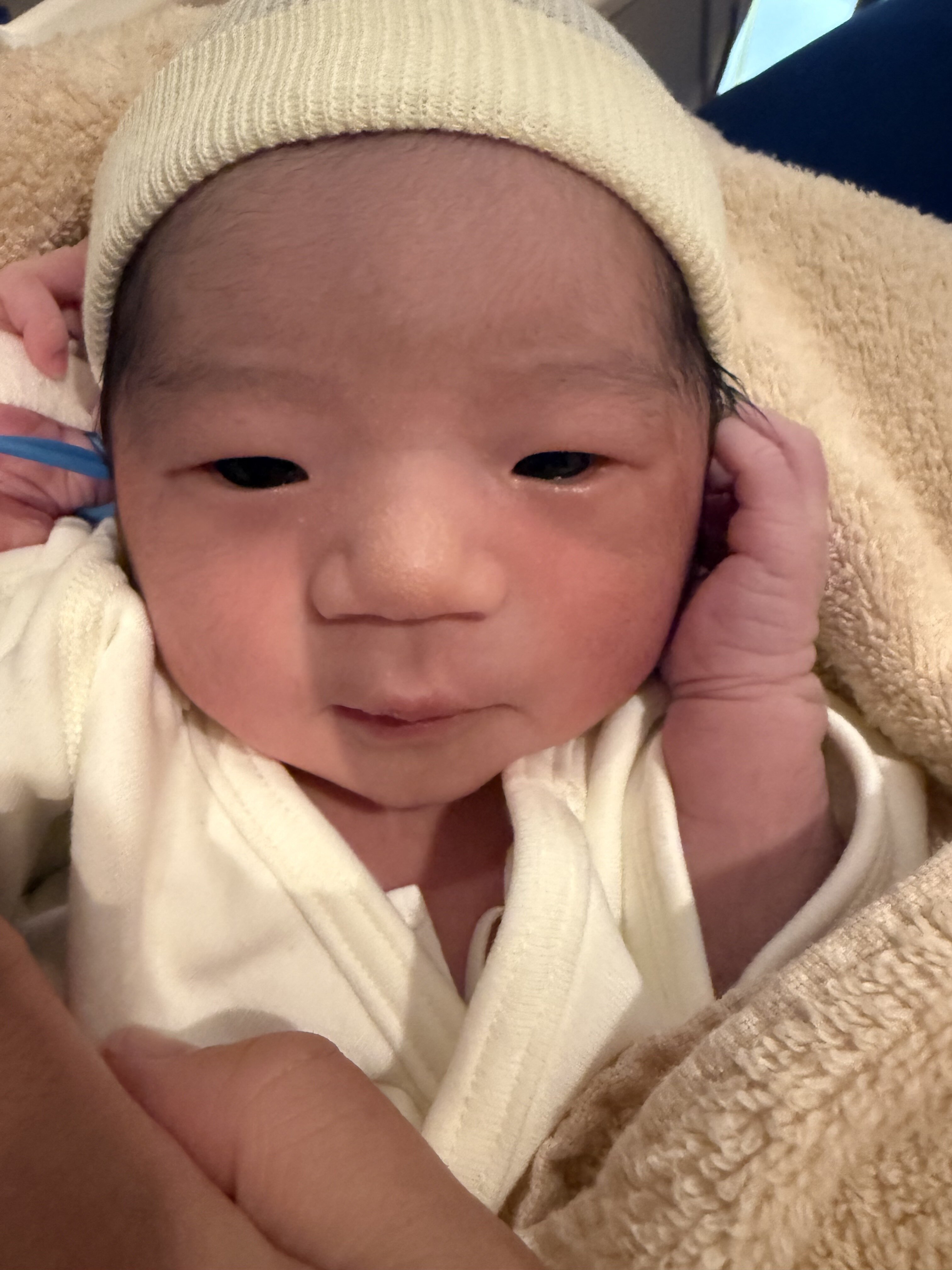 しずくちゃん誕生