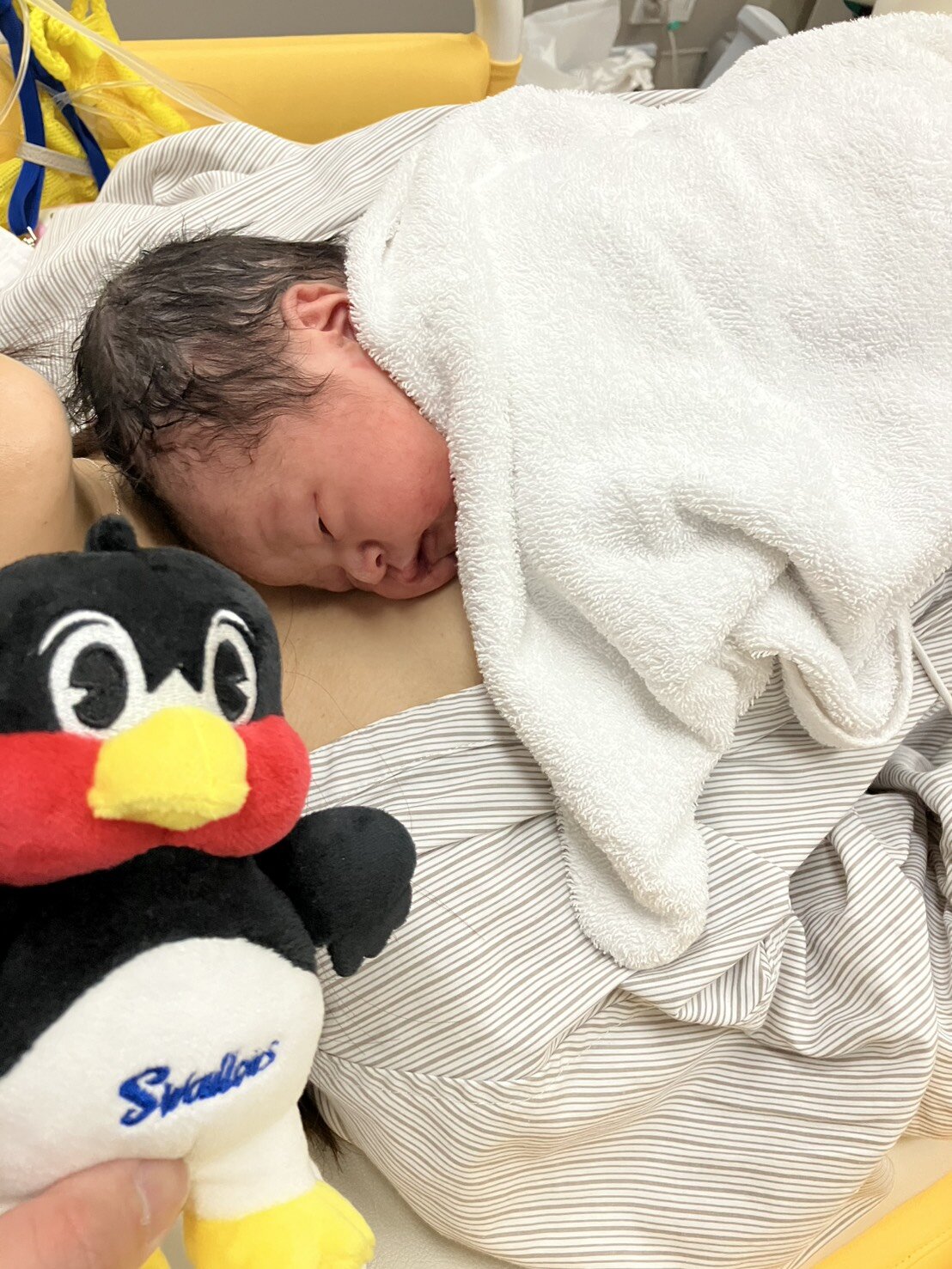 産まれたよ産まれたよ
