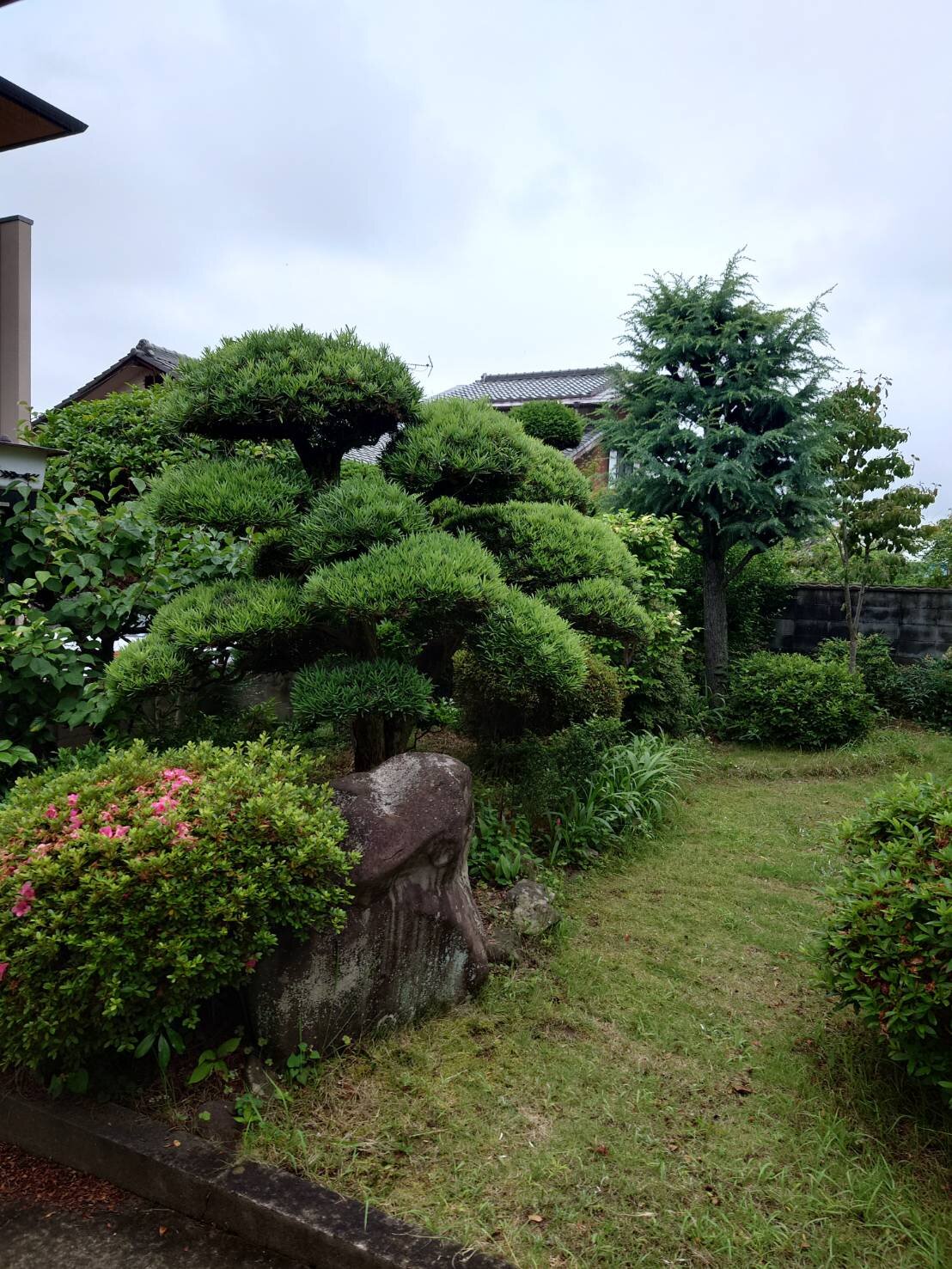無くなる　実家